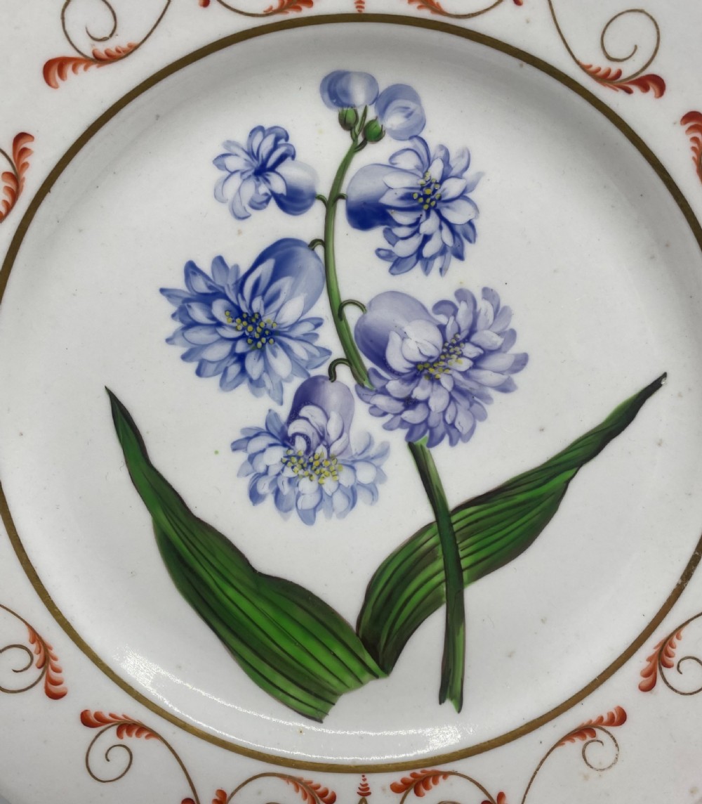 English porcelain botanical dish, Hyacinth, c. 1800. View II