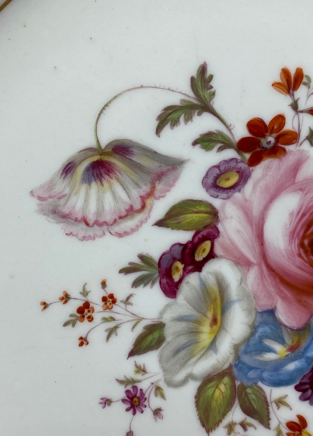 Rockingham porcelain plate. Flowers, c. 1830. View VIII