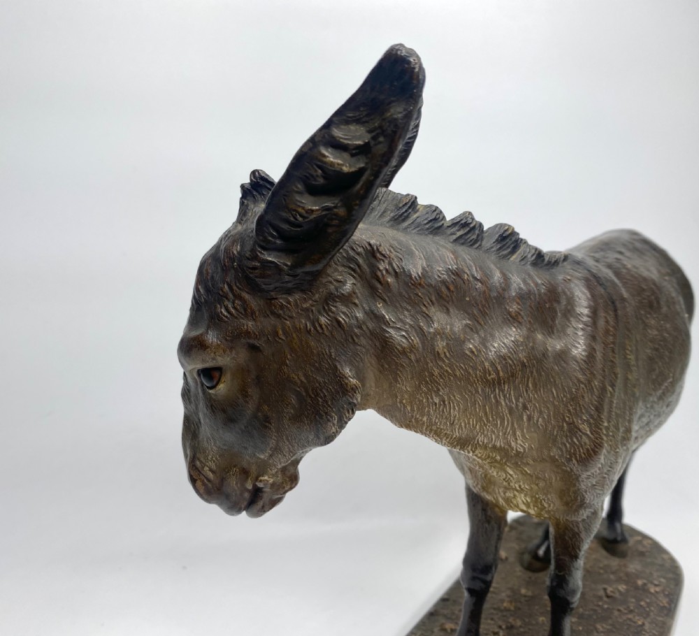 Franz Bergman cold painted bronze Donkey, c. 1900. View IV