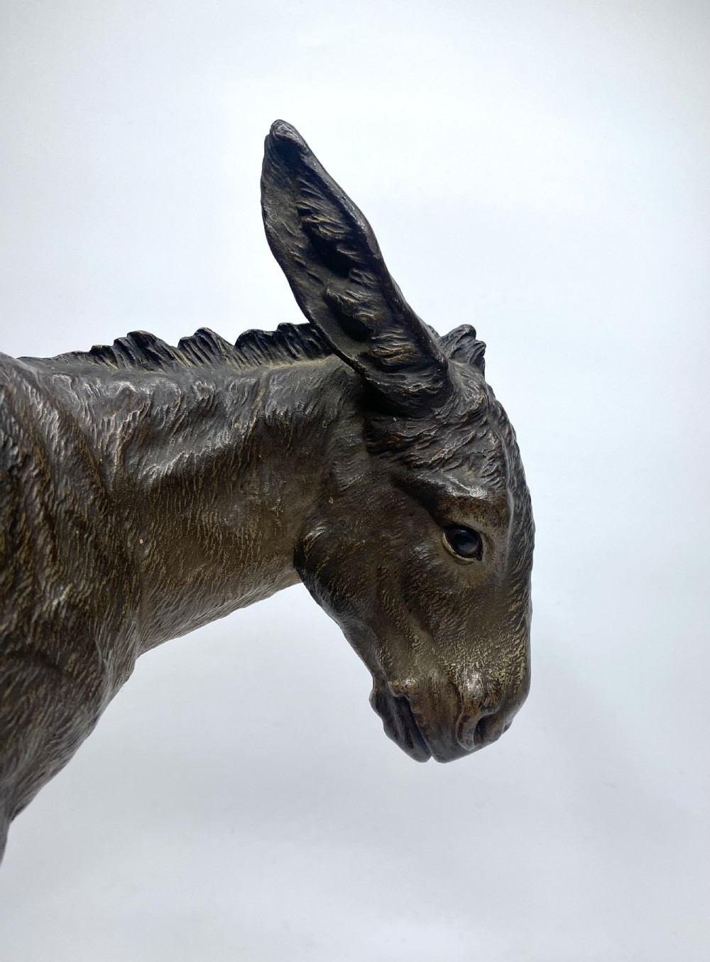 Franz Bergman cold painted bronze Donkey, c. 1900. View VI