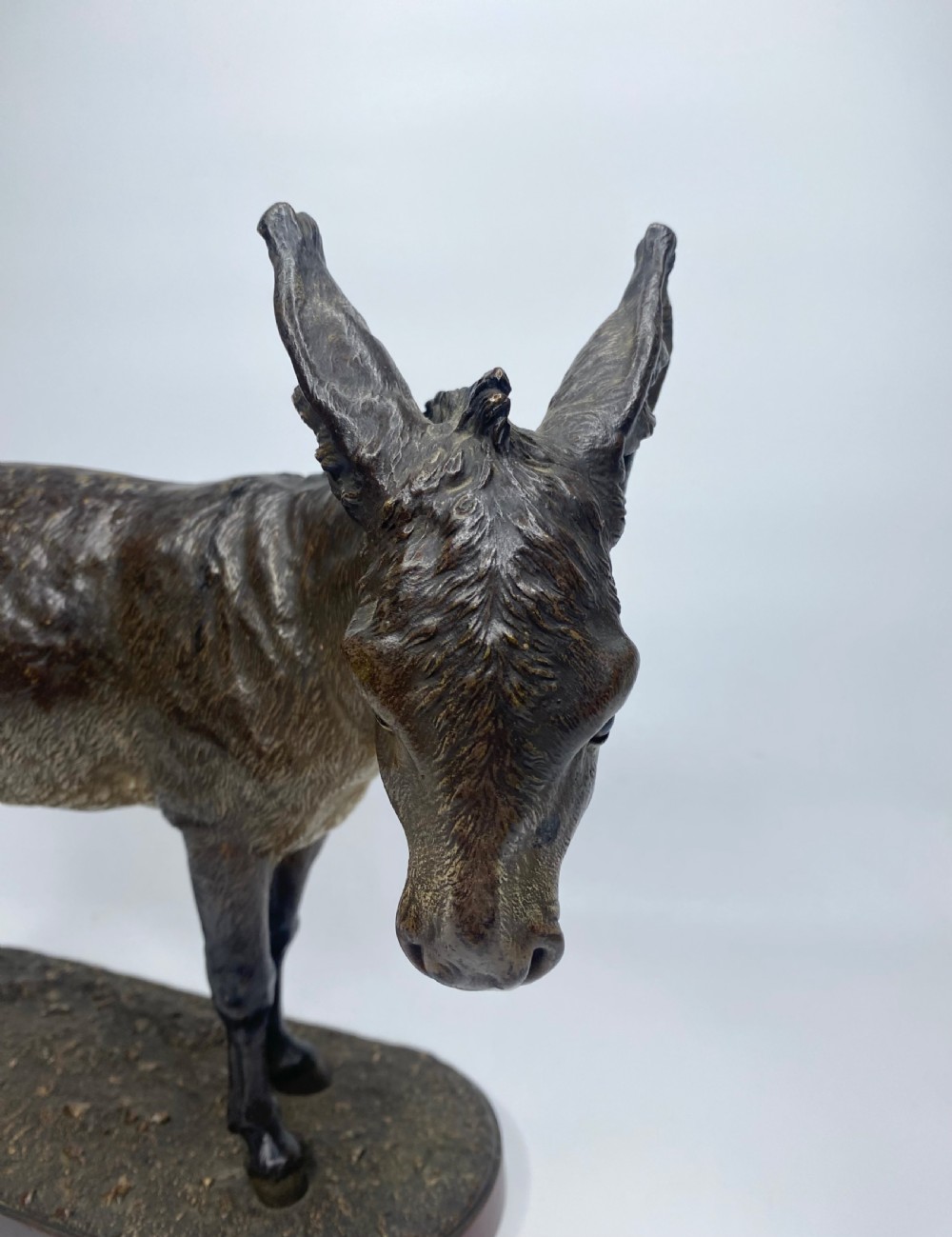 Franz Bergman cold painted bronze Donkey, c. 1900. View X