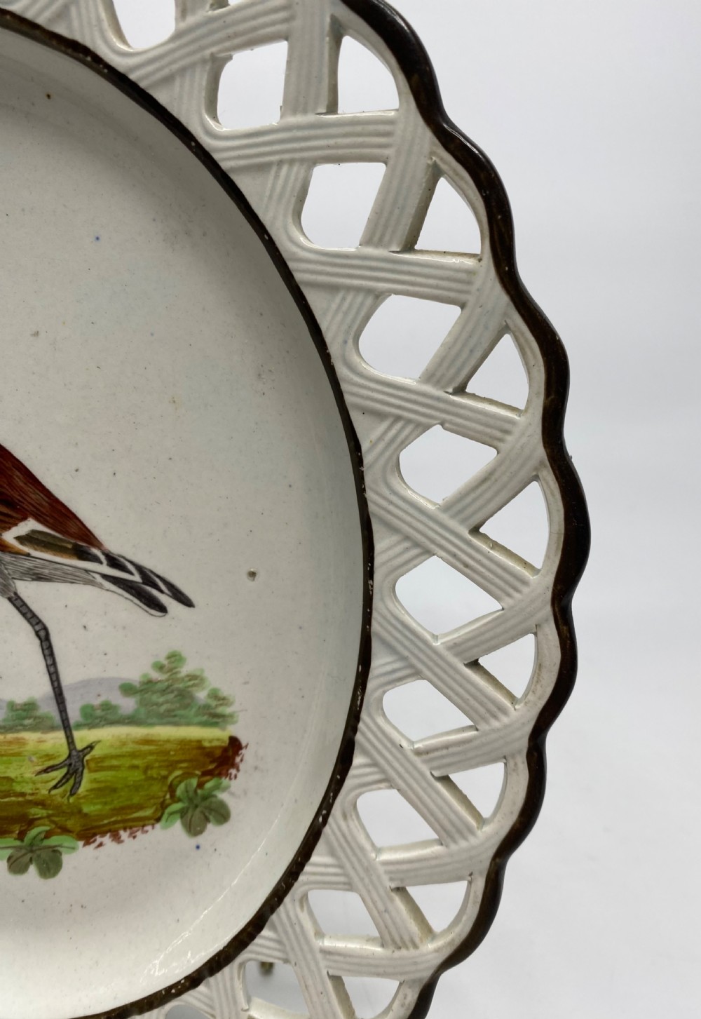 Staffordshire ornithological dish Red Godwit, c. 1810. View III