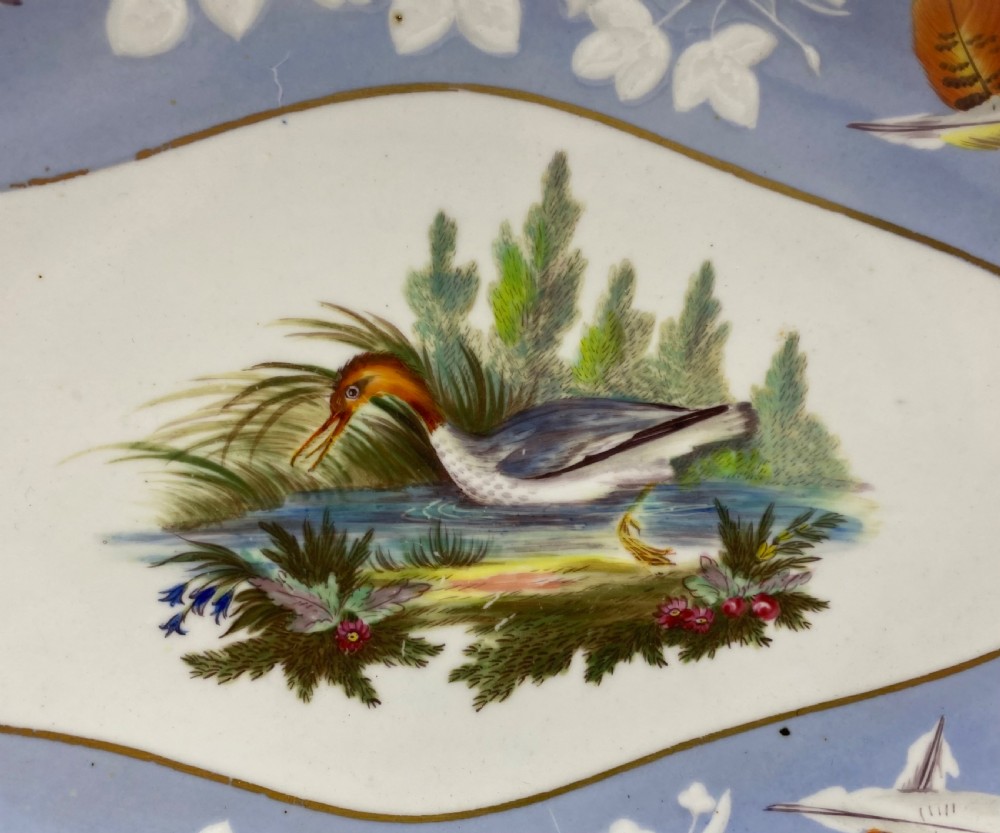 Spode ornithological dish, c. 1820. View II