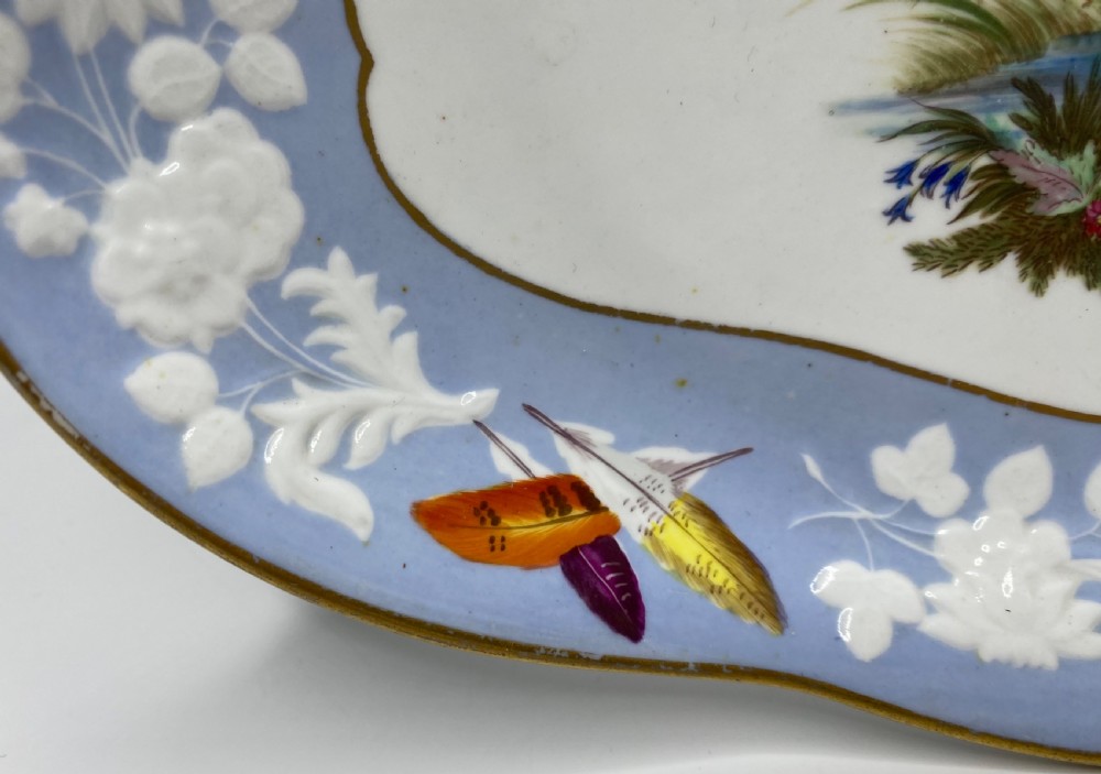 Spode ornithological dish, c. 1820. View III