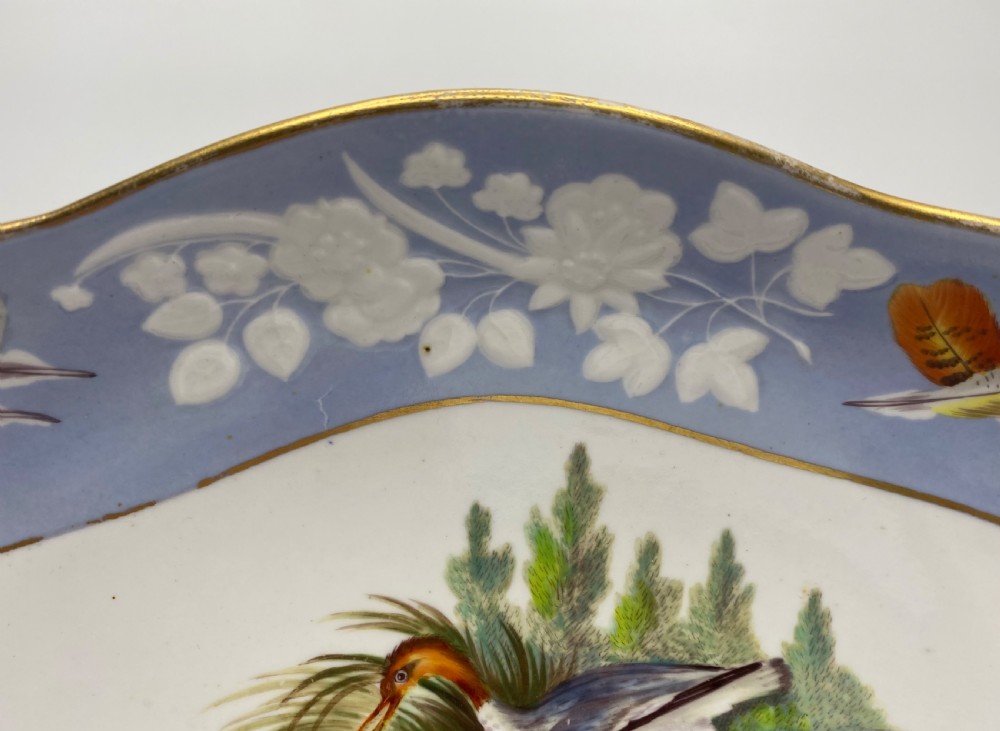 Spode ornithological dish, c. 1820. View V