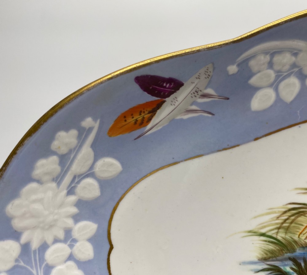 Spode ornithological dish, c. 1820. View VI
