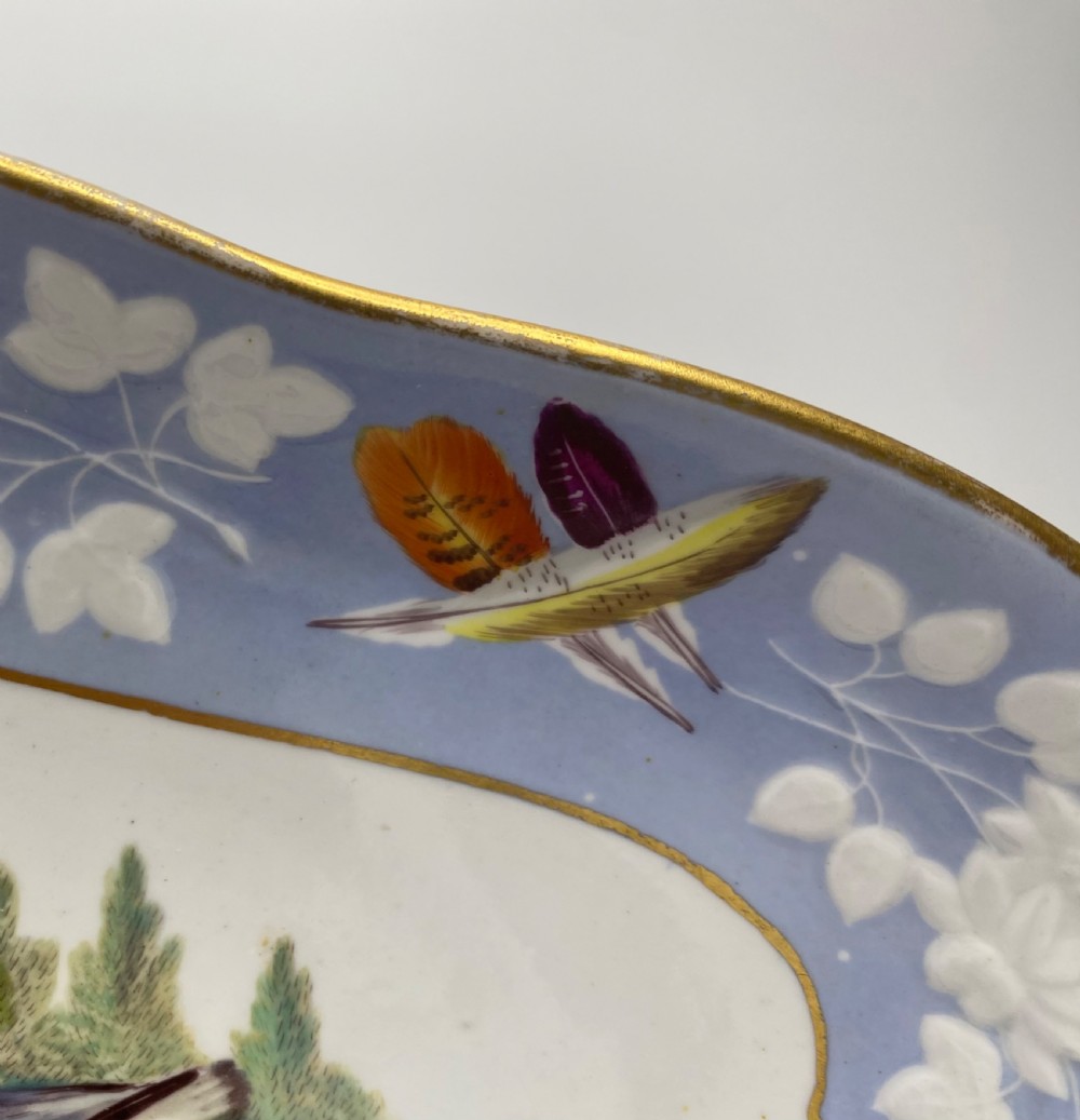 Spode ornithological dish, c. 1820. View VII