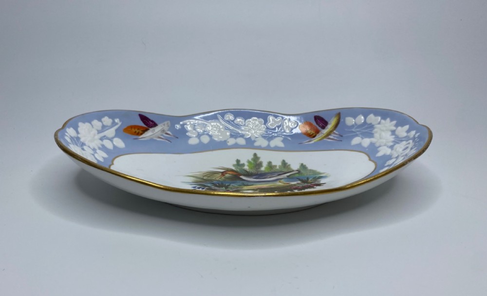 Spode ornithological dish, c. 1820. View VIII