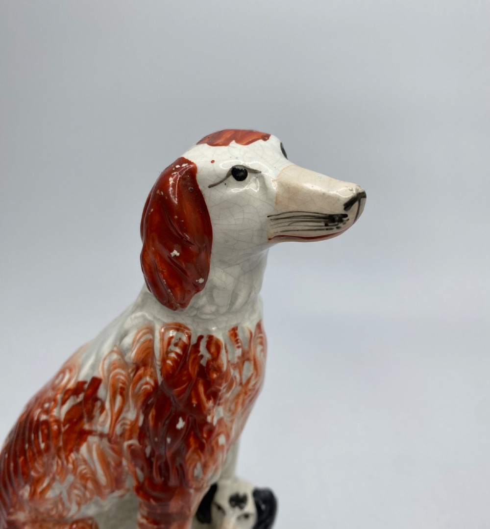 Pair Staffordshire Irish Setters, c. 1850. View IX