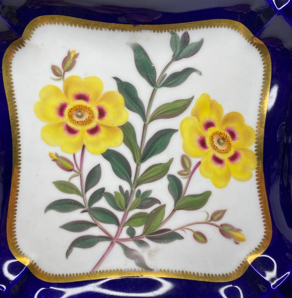 Chamberlains Worcester dish, Beautiful Cistrus, c. 1830. View II