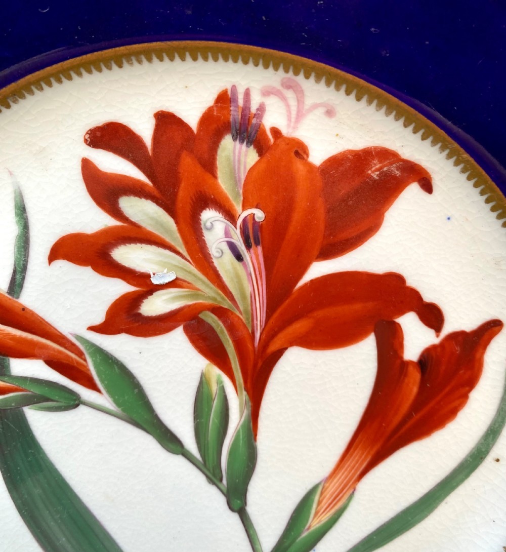 Chamberlains Worcester dish, Superb Corn Flag, c. 1830. View III