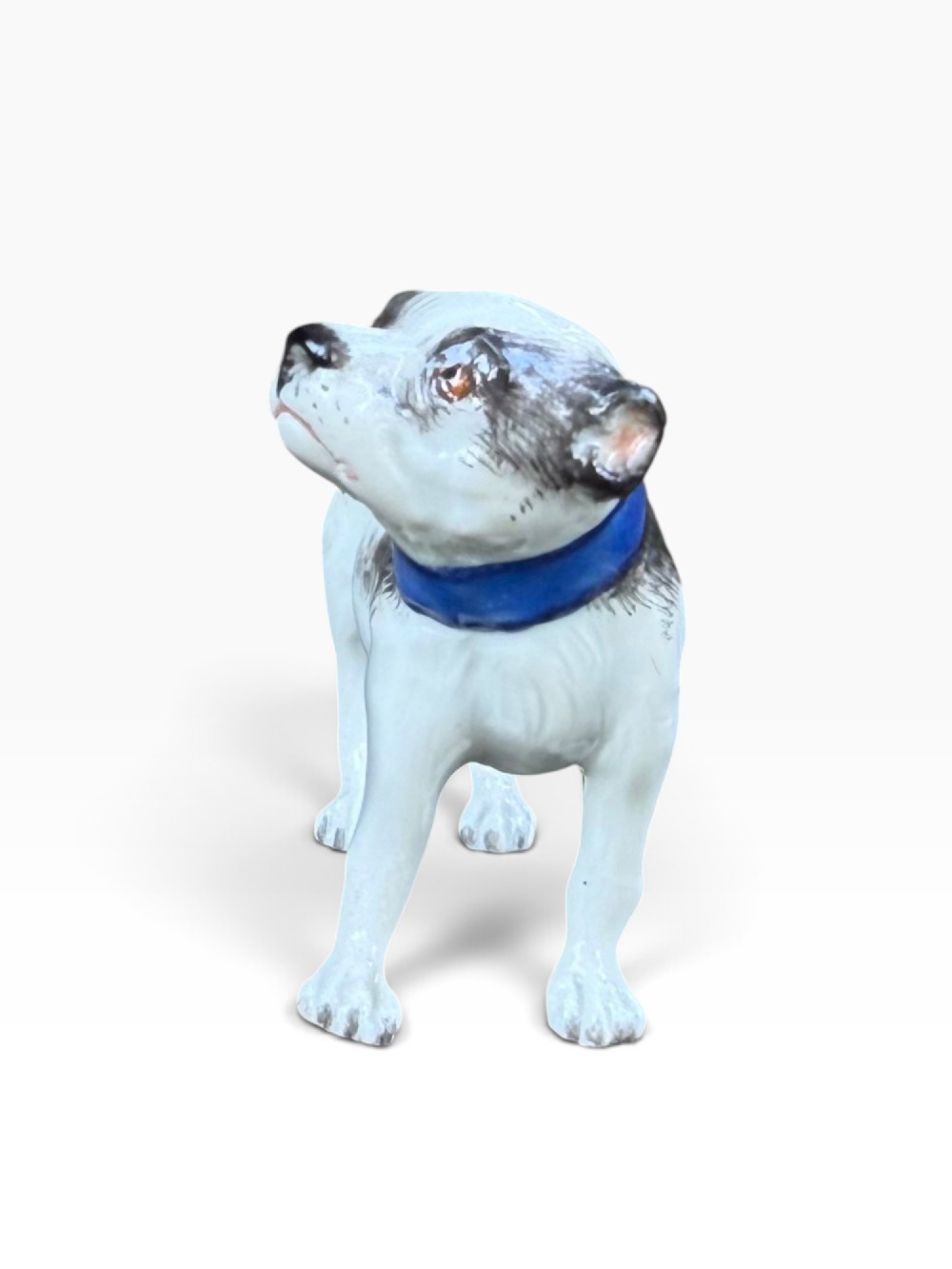 Meissen porcelain pug dog, c. 1910. View III
