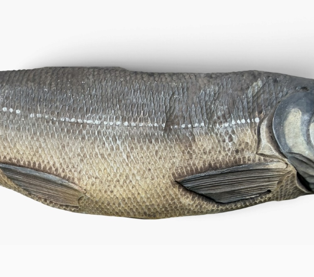 Alternate View