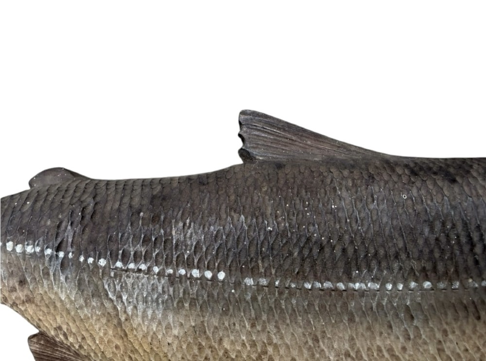 A realistic hand-carved wooden sculpture of a salmon with detailed scales and an open mouth, finished in muted grey and brown tones. View VIII