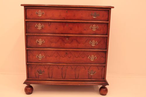 Yew Oyster Chest of Drawers