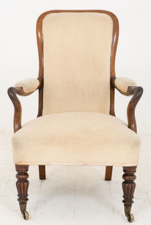 William IV Rosewood Library Chair