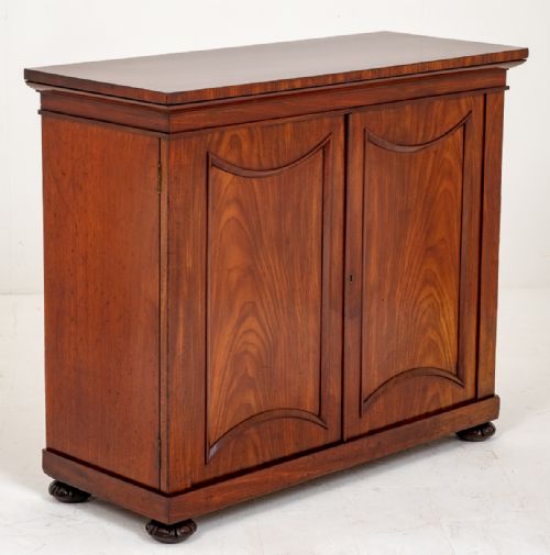 Wonderful Quality William IV Mahogany Side Cabinet