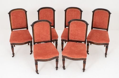 Very Pretty Set of 6 Walnut and Ebony Salon Chairs