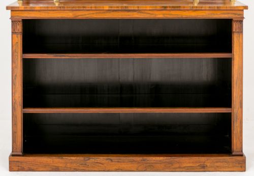 STUNNING WILLIAM IV ROSEWOOD BOOKCASE - ADDITIONAL PHOTO 3