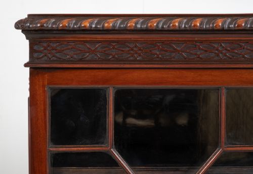 fig 1. A Mahogany Chippendale Style 2 Door Display Cabinet