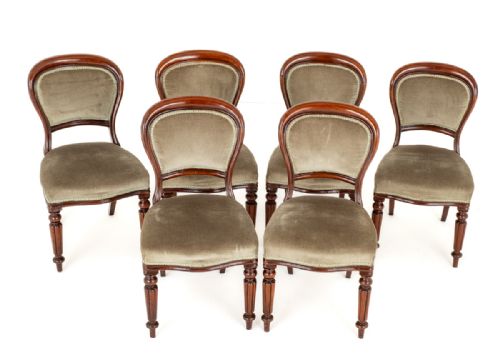 Set of 6 William IV Mahogany Dining Chairs