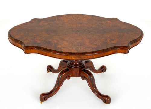 fig 1. Irish Burr Walnut
