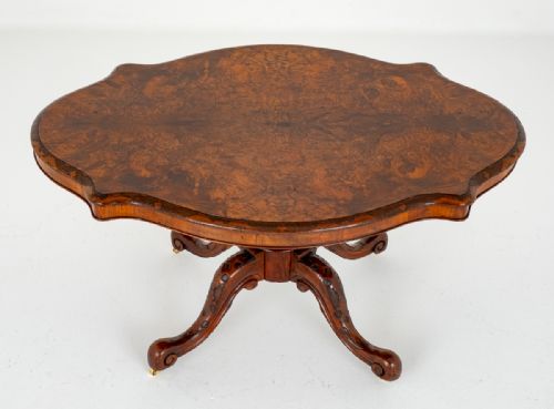 fig 2. Irish Burr Walnut
