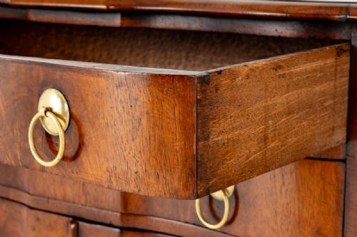QUEEN ANNE STYLE WALNUT SIDE CABINET - ADDITIONAL PHOTO 5