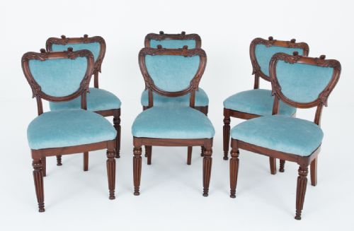 WONDERFUL SET OF WILLIAM IV ROSEWOOD DINING CHAIRS - ADDITIONAL PHOTO 2