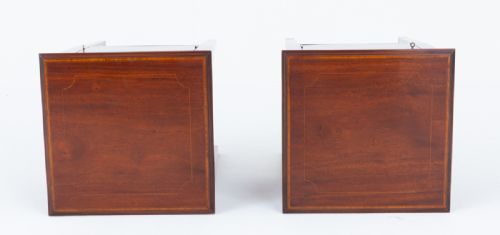 PAIR OF SHERATON REVIVAL MAHOGANY BEDSIDE CABINETS - ADDITIONAL PHOTO 4