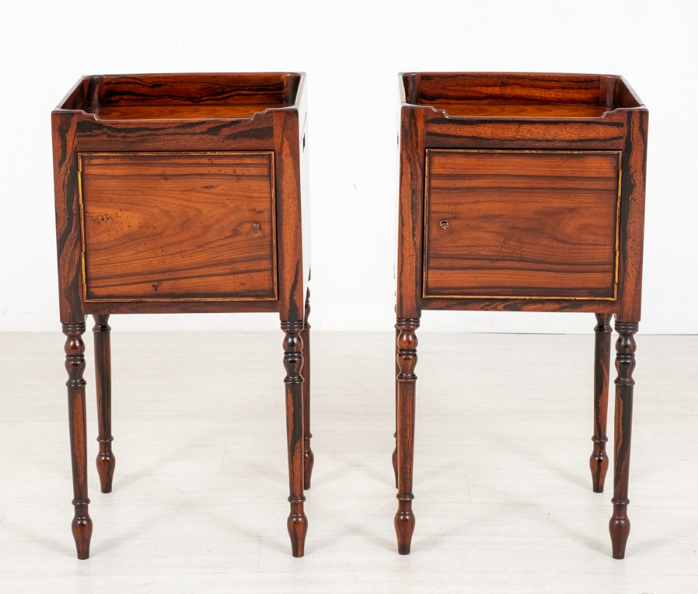Pair of Regency Style Rosewood Bedside Cabinets