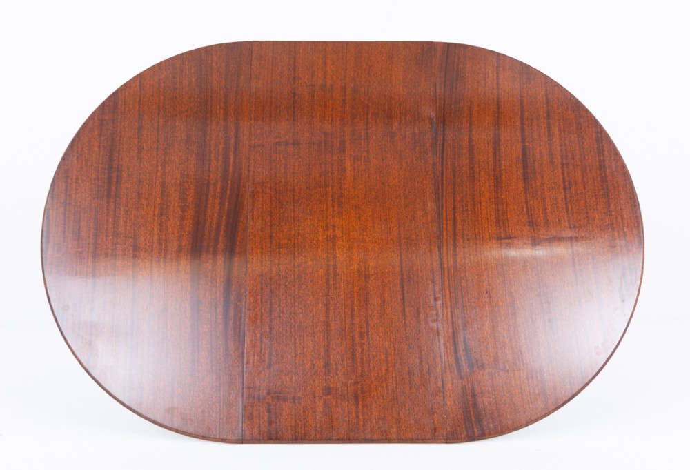 An extendable Regency Revival oval mahogany dining table with a central turned pedestal support, four reeded swept legs, and brass castors. View VII