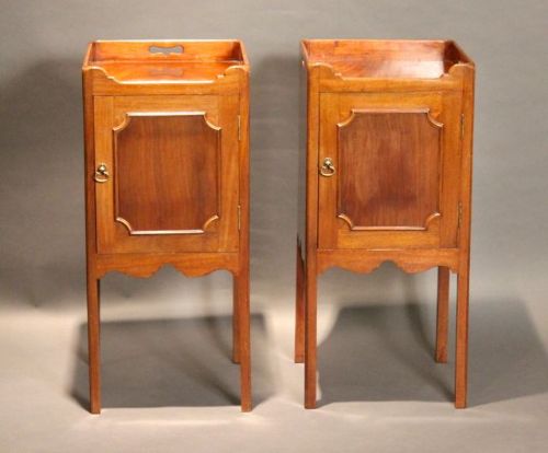 A Pair of 19thc. Bedside Pot Cupboards