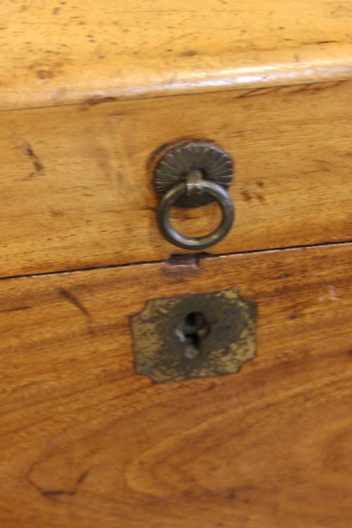 19THC CAMPHOR WOOD CHEST - ADDITIONAL PHOTO 5