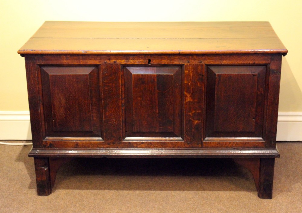 18thc. Oak Coffer Chest View II