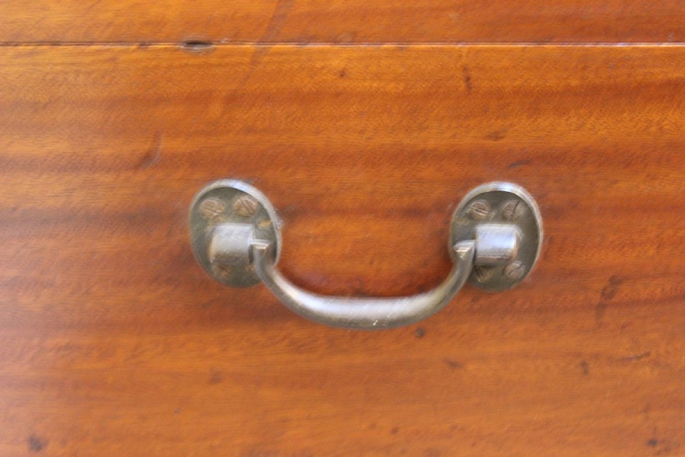 19thc. Camphor Wood Chest View V