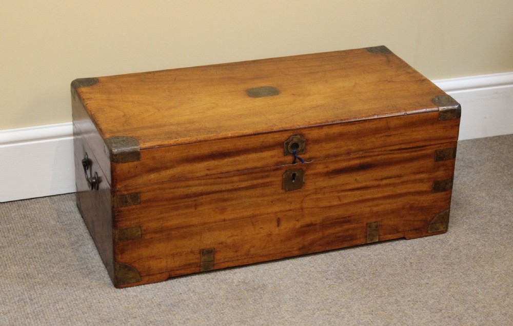 Late 19thc. Camphor Wood Chest View II