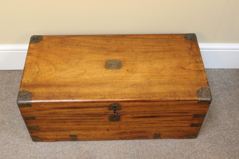Late 19thc. Camphor Wood Chest View IV