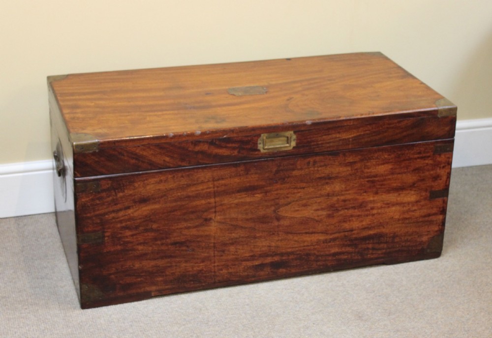 Late 19thc. Camphor Wood Chest View II