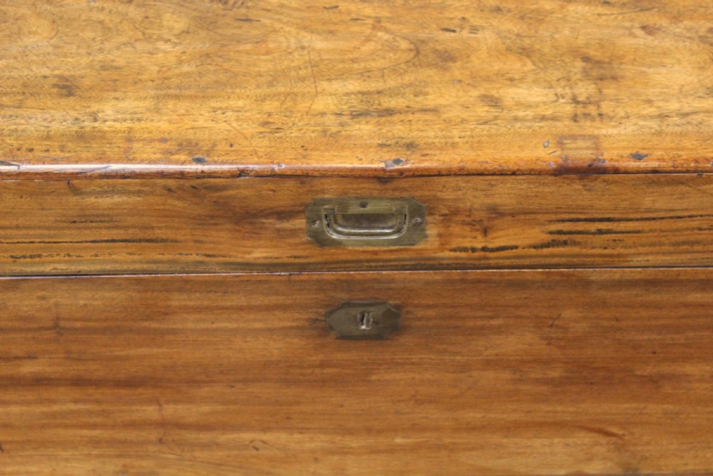 Late 19thc. Camphor Wood Box View V
