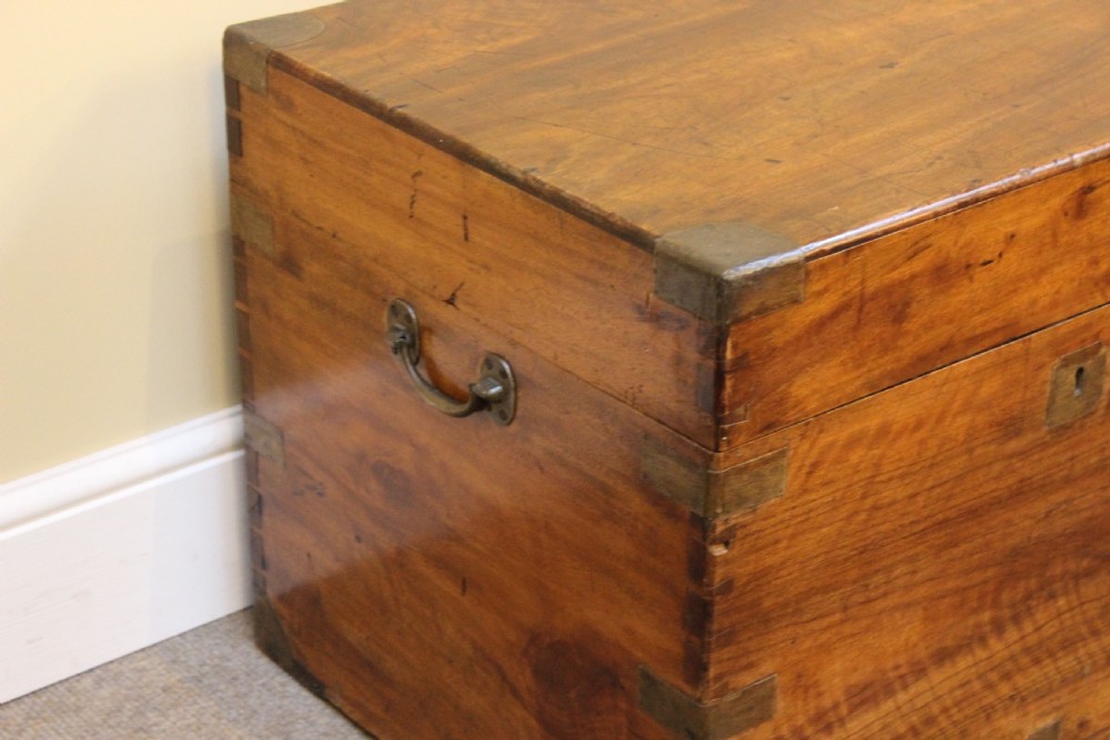 Late 19thc. Camphor Wood Chest View III
