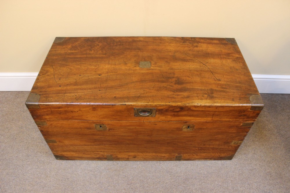 Late 19thc. Camphor Wood Chest View IV