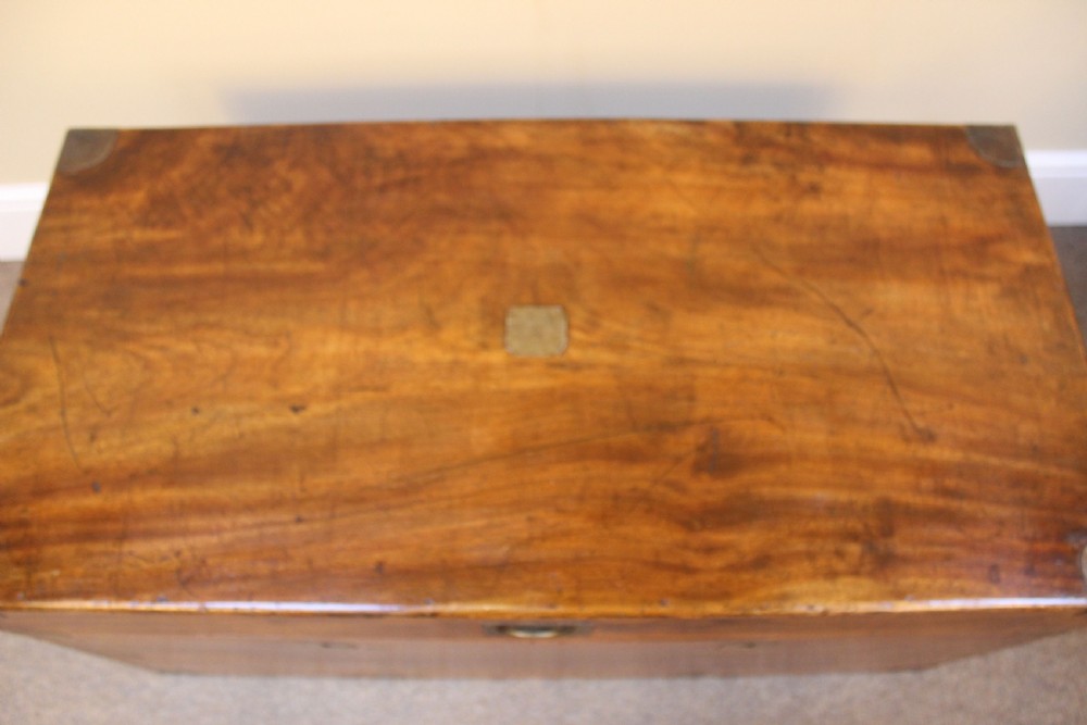 Late 19thc. Camphor Wood Chest View VI