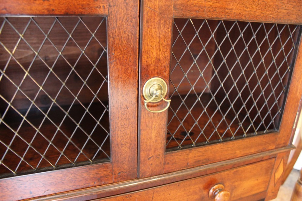 A Regency mahogany waterfall bookcase featuring graduated open shelves above a two-door cabinet with brass wire grilles and a single base drawer. View VI