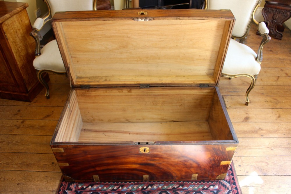 Late 19thc  Camphor Wood Chest View IV