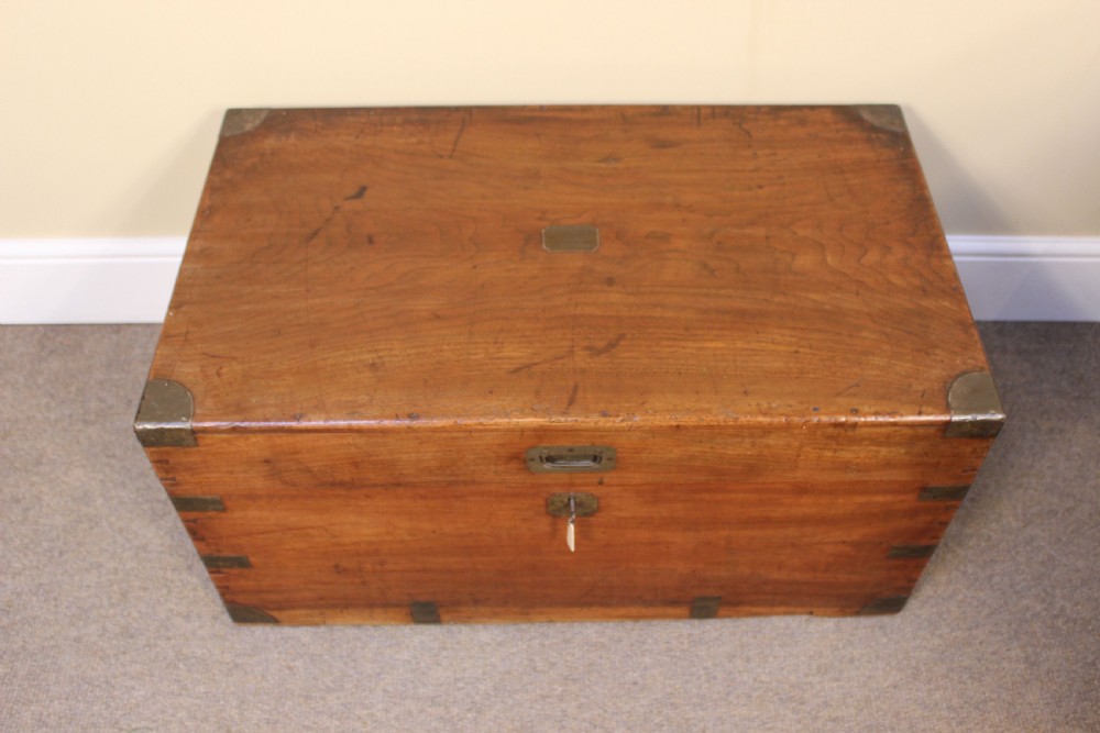 19thc. Camphor Wood Chest View IV