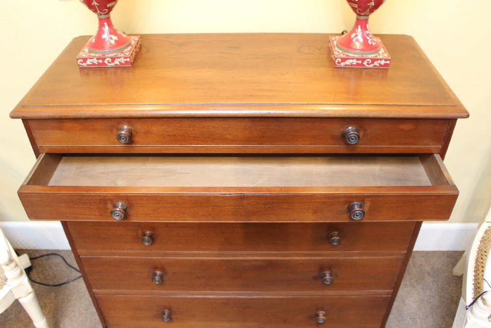 A 19th-century red walnut collectors chest featuring six graduated drawers with turned wooden knobs set on a solid plinth base. View VI