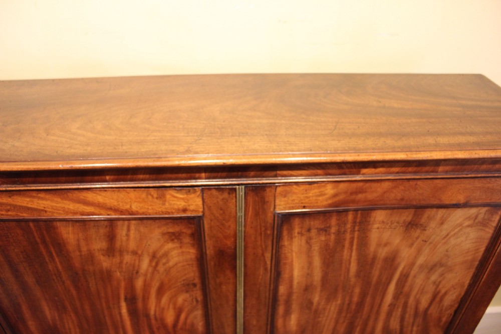 19thc. Mahogany Two Door Cupboard View III