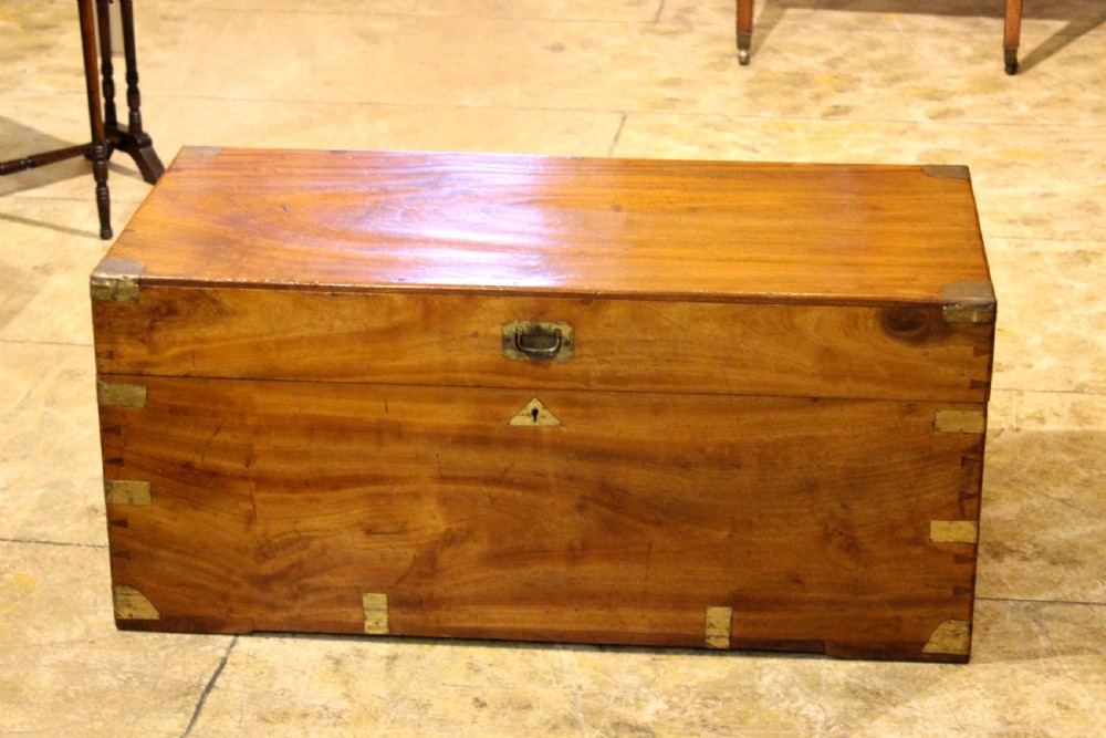 A rectangular 19th-century camphor wood chest featuring brass corner brackets, brass strap reinforcements, a central keyhole escutcheon, and dovetail joinery.