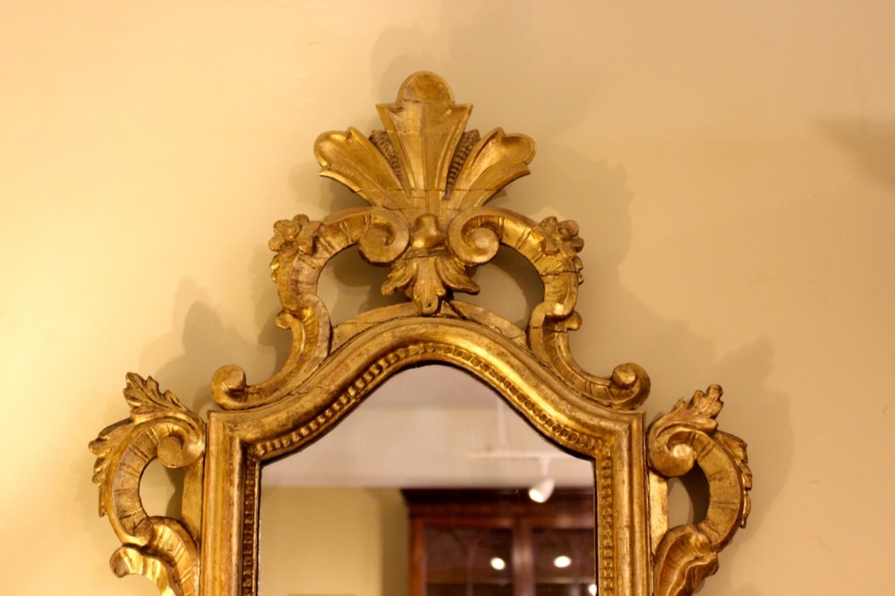 A nineteenth-century Rococo style gilded wall mirror featuring elaborate C-scroll carvings, a shell cresting, and a carved lower mask apron. View III